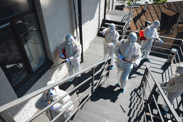 Reliable Semmes, AL Mold Removal Solutions